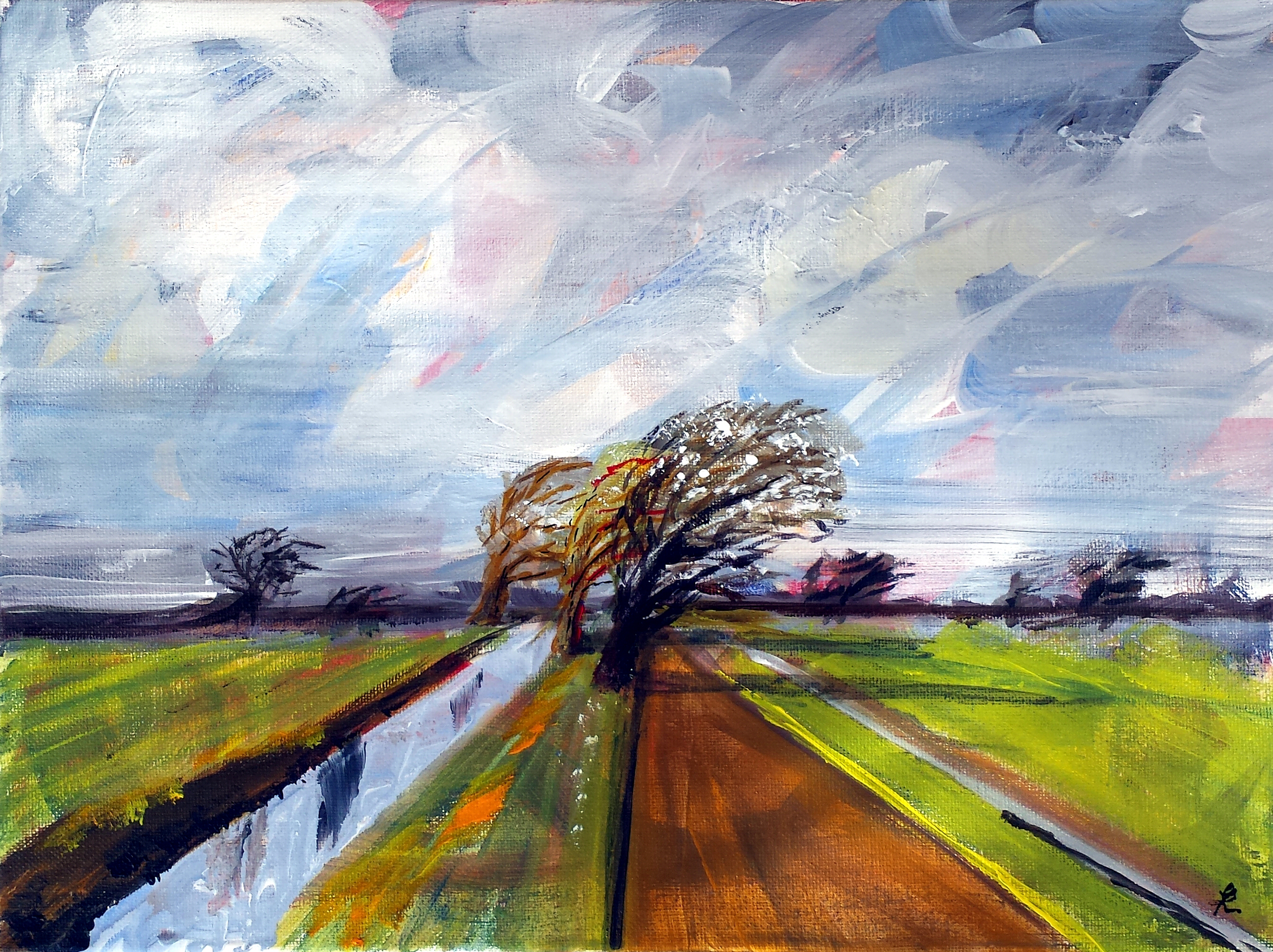 Wind shapes the trees, Somerset levels, no 420 